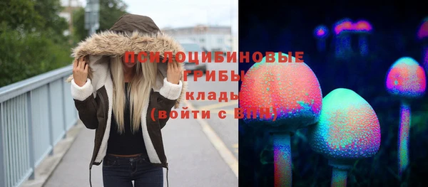 эйфоретик Алзамай