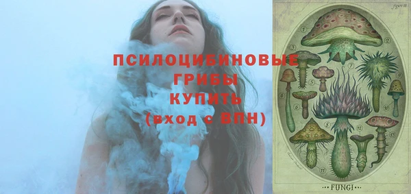 прущие грибы Алексин