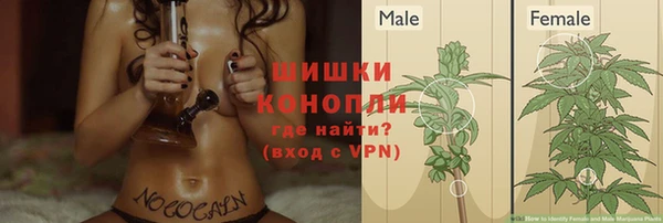 прущие грибы Алексин