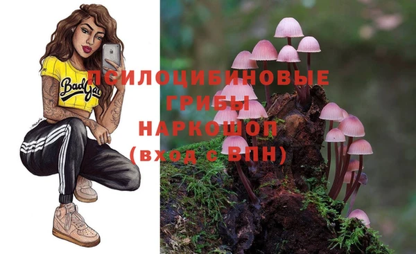 эйфоретик Алзамай