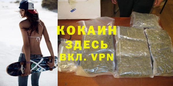 прущие грибы Алексин