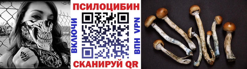 Галлюциногенные грибы GOLDEN TEACHER  площадка как зайти  Томмот 